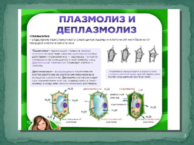 Biofamily биология