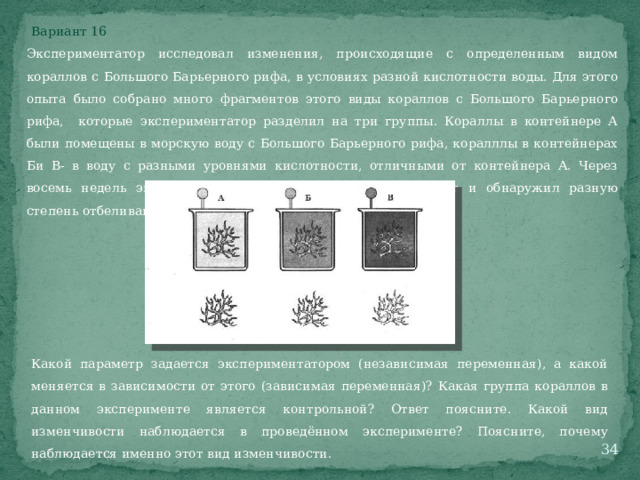 Вариант 16 Экспериментатор исследовал изменения, происходящие с определенным видом кораллов с Большого Барьерного рифа, в условиях разной кислотности воды. Для этого опыта было собрано много фрагментов этого виды кораллов с Большого Барьерного рифа, которые экспериментатор разделил на три группы. Кораллы в контейнере А были помещены в морскую воду с Большого Барьерного рифа, коралллы в контейнерах Би В- в воду с разными уровнями кислотности, отличными от контейнера А. Через восемь недель экспериментатор проверил каждый фрагмент и обнаружил разную степень отбеливания кораллов. Какой параметр задается экспериментатором (независимая переменная), а какой меняется в зависимости от этого (зависимая переменная)? Какая группа кораллов в данном эксперименте является контрольной? Ответ поясните. Какой вид изменчивости наблюдается в проведённом эксперименте? Поясните, почему наблюдается именно этот вид изменчивости.  