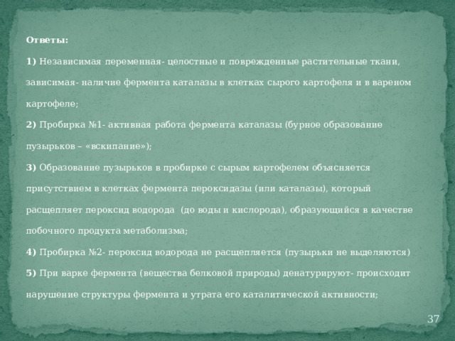 Ответы: 1) Независимая переменная- целостные и поврежденные растительные ткани, зависимая- наличие фермента каталазы в клетках сырого картофеля и в вареном картофеле; 2) Пробирка №1- активная работа фермента каталазы (бурное образование пузырьков – «вскипание»); 3) Образование пузырьков в пробирке с сырым картофелем объясняется присутствием в клетках фермента пероксидазы (или каталазы), который расщепляет пероксид водорода (до воды и кислорода), образующийся в качестве побочного продукта метаболизма; 4) Пробирка №2- пероксид водорода не расщепляется (пузырьки не выделяются) 5) При варке фермента (вещества белковой природы) денатурируют- происходит нарушение структуры фермента и утрата его каталитической активности;  