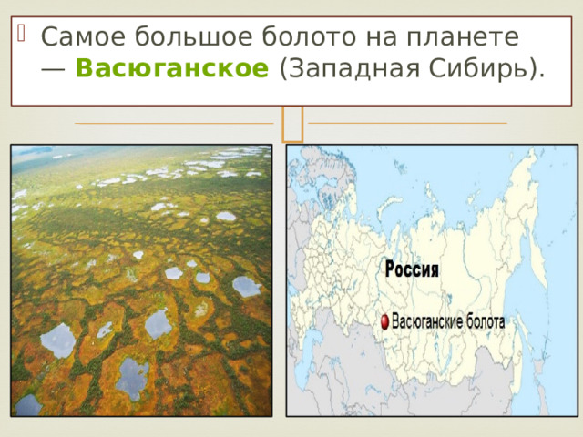 Самое большое болото на планете —  Васюганское  (Западная Сибирь). 