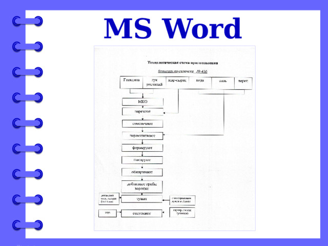 MS Word 