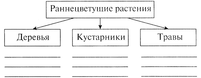 В виде схемы покажите связь следующих объектов предприниматель