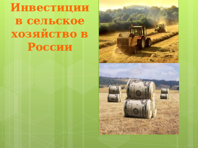Инвестиции  в сельское хозяйство в России 