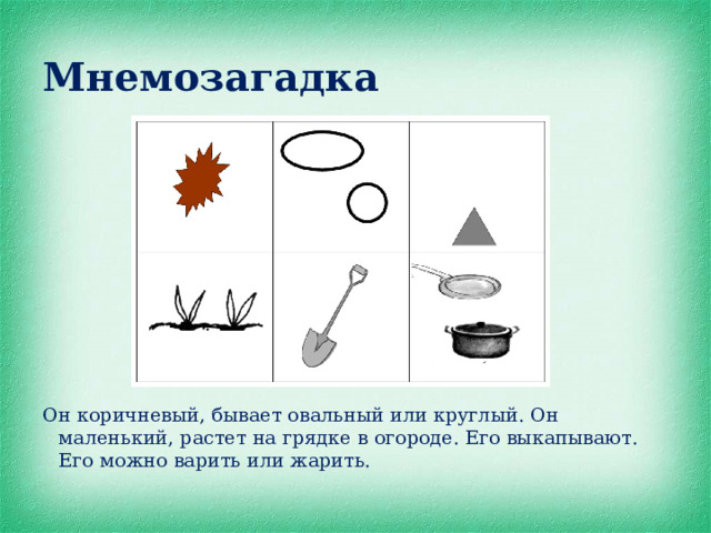 Мнемозагадка      Он коричневый, бывает овальный или круглый. Он маленький, растет на грядке в огороде. Его выкапывают. Его можно варить или жарить. 