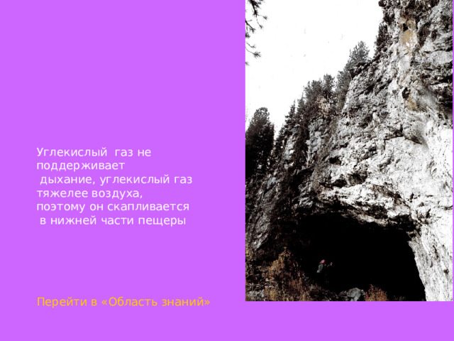 Углекислый газ не поддерживает  дыхание, углекислый газ тяжелее воздуха, поэтому он скапливается  в нижней части пещеры Перейти в «Область знаний» 