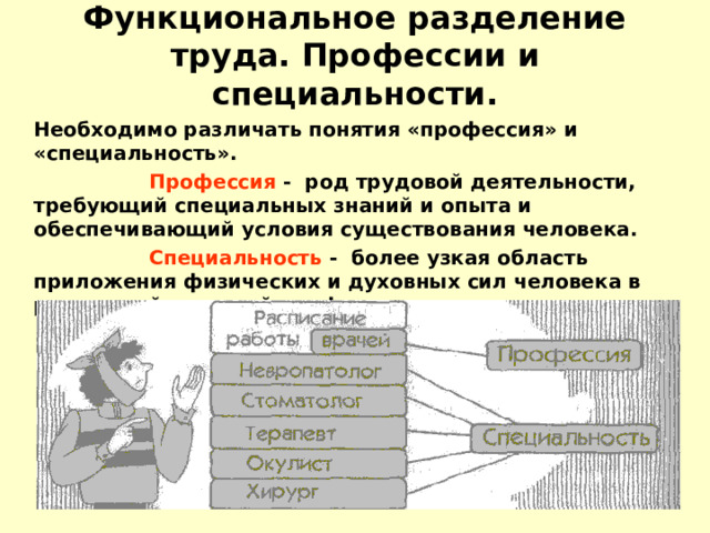 Функциональное разделение труда. Профессии и специальности.   Необходимо различать понятия «профессия» и «специальность».    Профессия - род трудовой деятельности, требующий специальных знаний и  опыта и обеспечивающий условия существования человека.    Специальность - более узкая область приложения физических и духовных сил человека в рамках той или иной профессии. 