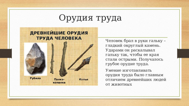 Орудия труда Человек брал в руки гальку – гладкий округлый камень. Ударами он раскалывал гальку так, чтобы ее края стали острыми. Получалось грубое орудие труда. Умение изготавливать орудия труда было главным отличием древнейших людей от животных 