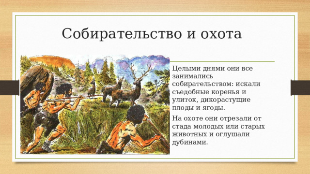 Собирательство и охота Целыми днями они все занимались собирательством: искали съедобные коренья и улиток, дикорастущие плоды и ягоды. На охоте они отрезали от стада молодых или старых животных и оглушали дубинами. 