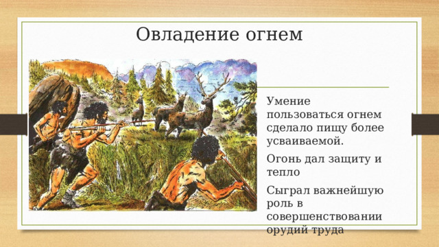 Овладение огнем   Умение пользоваться огнем сделало пищу более усваиваемой. Огонь дал защиту и тепло Сыграл важнейшую роль в совершенствовании орудий труда 