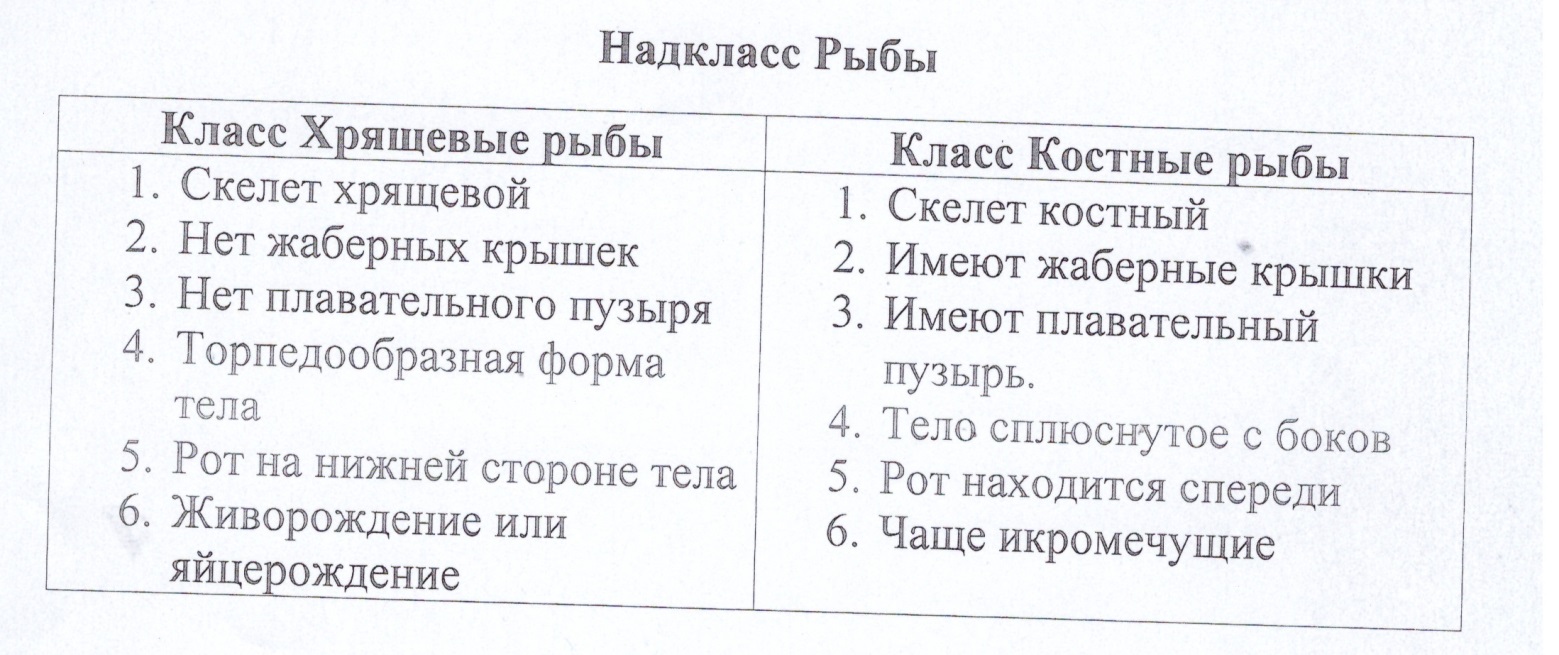 Конспект урока 