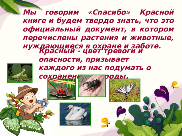 Мы говорим «Спасибо» Красной книге и будем твердо знать, что это официальный документ, в котором перечислены растения и животные, нуждающиеся в охране и заботе. Красный - цвет тревоги и опасности, призывает каждого из нас подумать о сохранении природы. 
