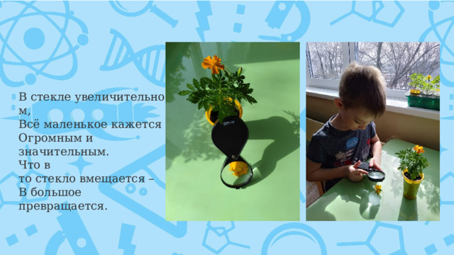 В стекле увеличительном,   Всё маленькое кажется  Огромным и значительным.  Что в то стекло вмещается –  В большое превращается. 