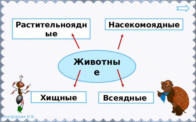 Растительноядные Насекомоядные Животные Хищные Всеядные 