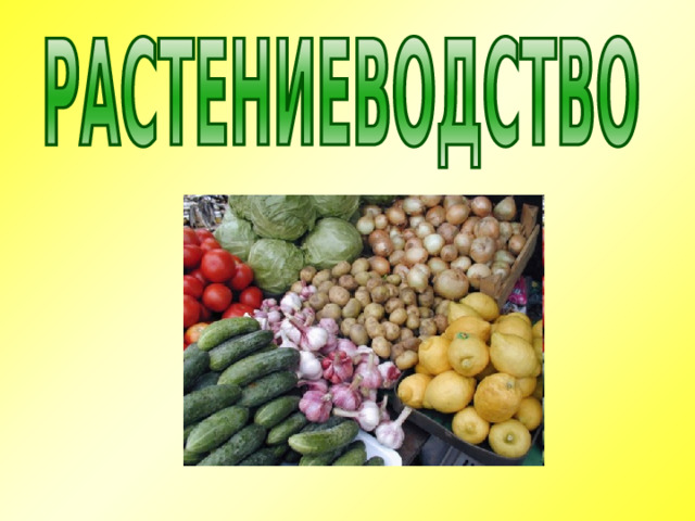 Растениеводство в нашем крае 4 класс конспект урока и презентация