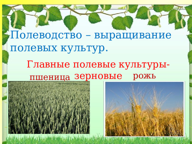 Технологическая карта урока растениеводство 3 класс школа россии