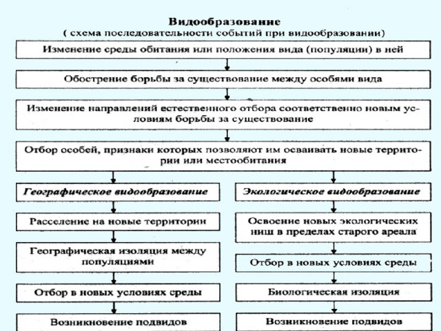 Роль изоляции в процессе видообразования. Экологическое видообразование схема. Географическое видообразование. Доли мигрантов для видообразовании схема. Исторический процесс видообразования по Дарвину схема.