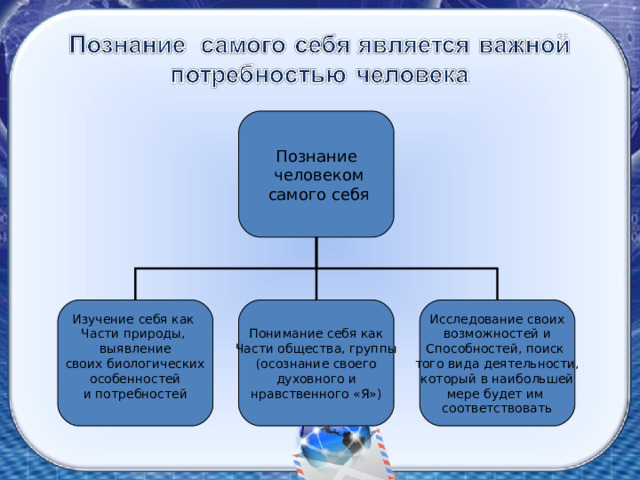 Изучение себя как Части природы, выявление  своих биологических особенностей и потребностей Понимание себя как Части общества, группы (осознание своего  духовного и нравственного «Я») Исследование своих  возможностей и Способностей, поиск того вида деятельности, который в наибольшей мере будет им соответствовать 