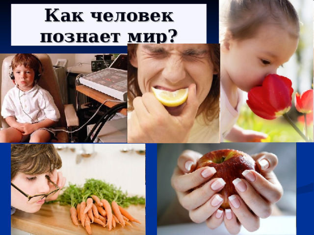 Как человек познает мир? 