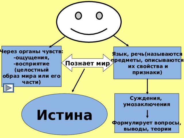 Через органы чувств: -ощущения, -восприятие (целостный образ мира или его части) Язык, речь(называются предметы, описываются  их свойства и признаки) Познает мир Суждения, умозаключения   Формулирует вопросы,  выводы, теории Истина 