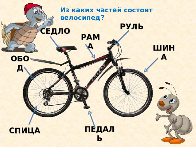 Из каких частей состоит велосипед? РУЛЬ СЕДЛО РАМА ШИНА ОБОД СПИЦА ПЕДАЛЬ 