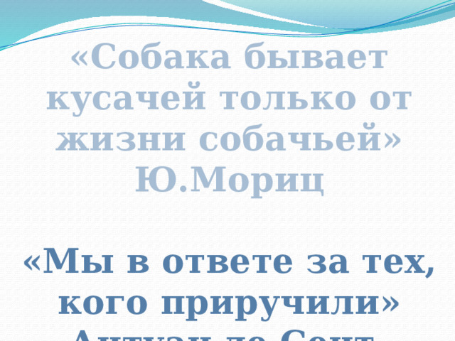 «Собака бывает кусачей только от жизни собачьей» Ю.Мориц  «Мы в ответе за тех, кого приручили» Антуан де Сент-Экзюпери 