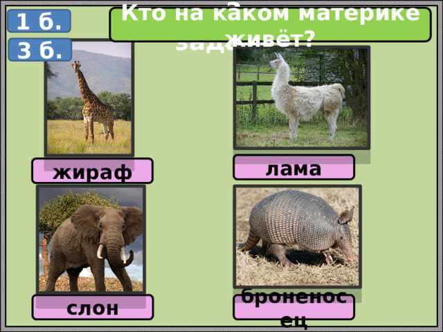 Кто на каком материке живёт? 3 задание 1 б. 3 б. лама жираф слон броненосец 