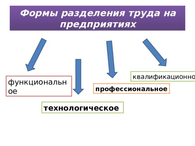 Формы разделения труда на предприятиях квалификационное функциональное профессиональное технологическое 