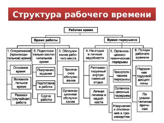 Структура рабочего времени 