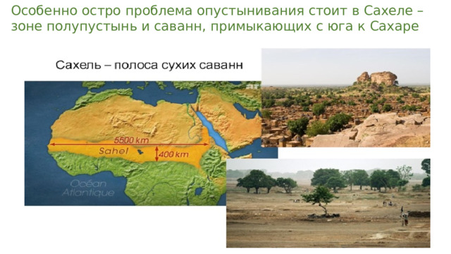 Особенно остро проблема опустынивания стоит в Сахеле – зоне полупустынь и саванн, примыкающих с юга к Сахаре 