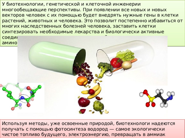 У биотехнологии, генетической и клеточной инженерии многообещающие перспективы. При появлении все новых и новых векторов человек с их помощью будет внедрять нужные гены в клетки растений, животных и человека. Это позволит постепенно избавиться от многих наследственных болезней человека, заставить клетки синтезировать необходимые лекарства и биологически активные соединения, а затем — непосредственно белки и незаменимые аминокислоты, употребляемые в пищу. Используя методы, уже освоенные природой, биотехнологи надеются получать с помощью фотосинтеза водород — самое экологически чистое топливо будущего, электроэнергию, превращать в аммиак атмосферный азот при обычных условиях. 