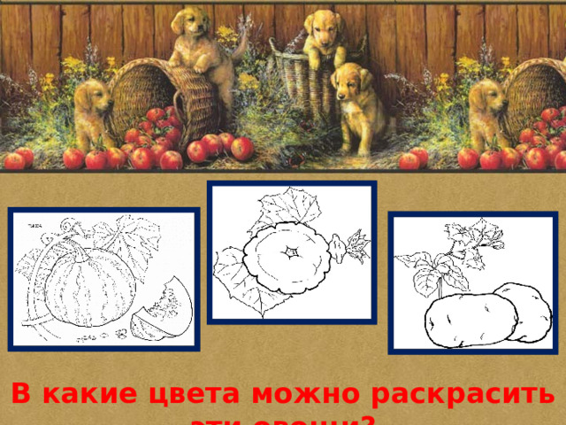 В какие цвета можно раскрасить эти овощи? 