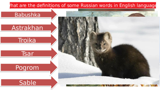 What are the definitions of some Russian words in English language? Babushka Astrakhan Troika Tsar Pogrom Sable 4 