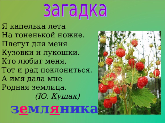 Я капелька лета На тоненькой ножке. Плетут для меня Кузовки и лукошки. Кто любит меня, Тот и рад поклониться. А имя дала мне Родная землица.   (Ю. Кушак) з е мл я ника 