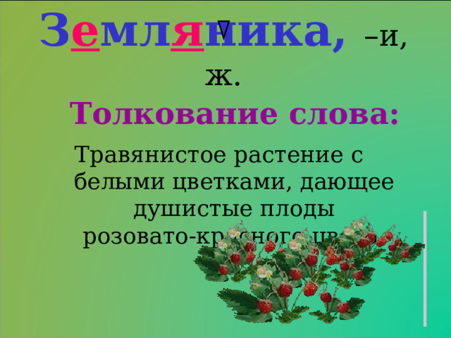 З е мл я ника,  –и, ж. Толкование слова: Травянистое растение с белыми цветками, дающее душистые плоды розовато-красного цвета. 