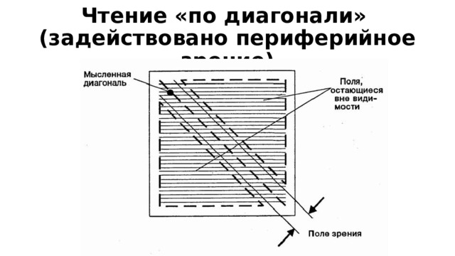 Чтение «по диагонали»  (задействовано периферийное зрение) 