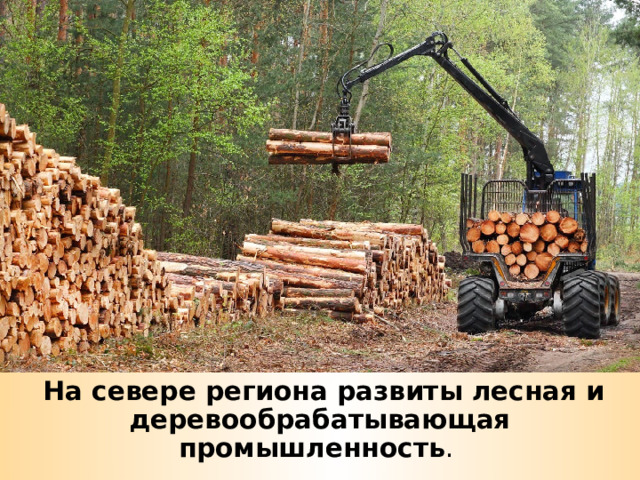  На севере региона развиты лесная и деревообрабатывающая промышленность . 