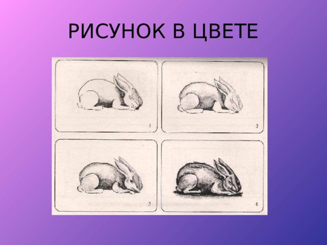 РИСУНОК В ЦВЕТЕ 