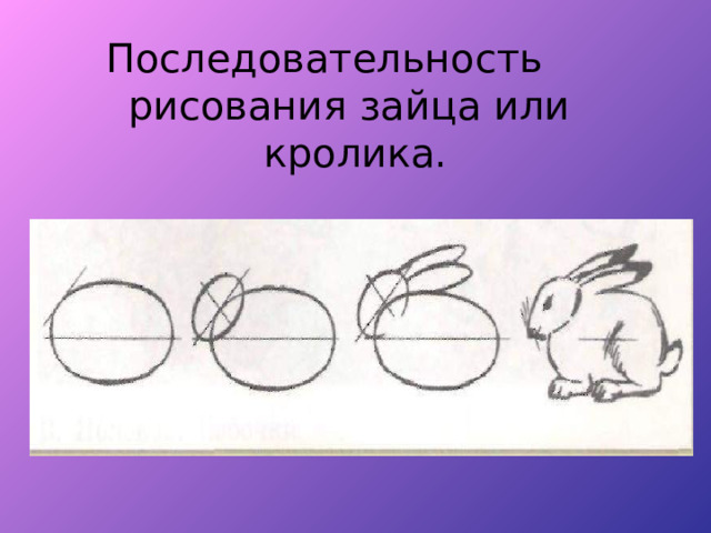 Последовательность рисования зайца или кролика. 