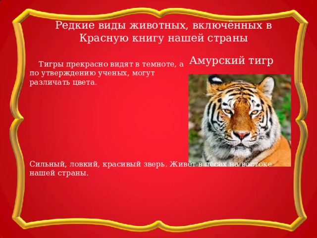 Редкие виды животных, включённых в Красную книгу нашей страны  Тигры прекрасно видят в темноте, а по утверждению ученых, могут различать цвета. Амурский тигр Сильный, ловкий, красивый зверь. Живёт в лесах на востоке нашей страны. 