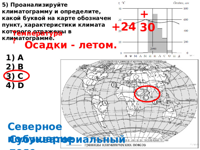 5) Проанализируйте климатограмму и определите, какой буквой на карте обозначен пункт, характеристики климата которого отражены в климатограмме. + 30 +24 Температура? Осадки - летом. 1) A 2) B 3) C 4) D Северное полушарие Субэкваториальный пояс 