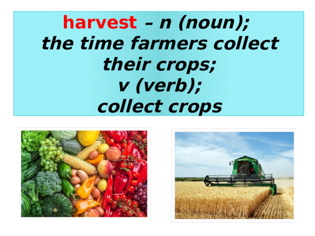  harvest – n (noun); the time farmers collect their crops; v (verb); collect crops  