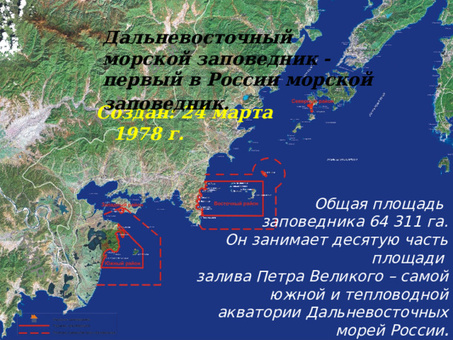 Дальневосточный морской заповедник - первый в России морской заповедник.  Создан: 24 марта 1978 г. Общая площадь заповедника 64 311 га. Он занимает десятую часть площади залива Петра Великого – самой южной и тепловодной акватории Дальневосточных морей России . 