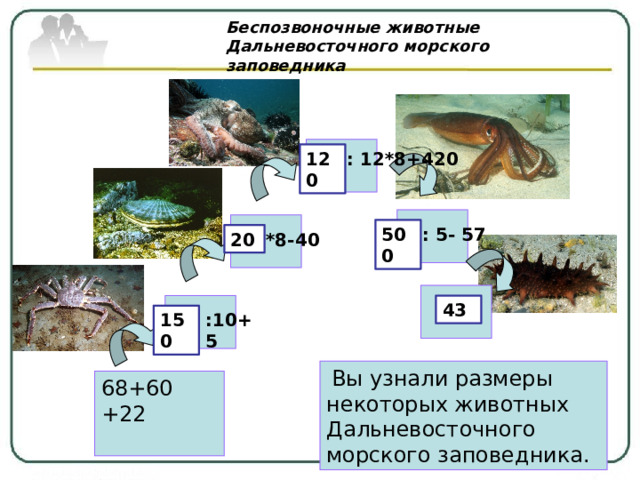 Беспозвоночные животные Дальневосточного морского заповедника 120 : 12*8+420 500 : 5- 57 *8-40 20 43 150 :10+5  Вы узнали размеры некоторых животных Дальневосточного морского заповедника. 68+60 +22 