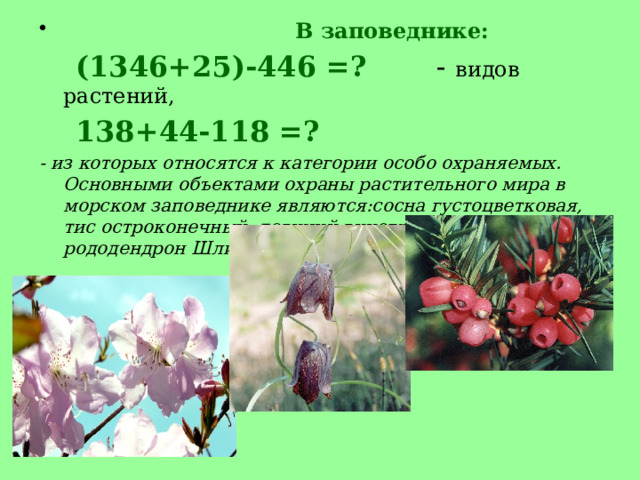  В заповеднике:  (1346+25)-446 =? - видов растений,  138+44-118 =?   - из которых относятся к категории особо охраняемых. Основными объектами охраны растительного мира в морском заповеднике являются:сосна густоцветковая, тис остроконечный, девичий виноград триостренный, рододендрон Шлиппенбаха, дуб зубчатый и т.д.            
