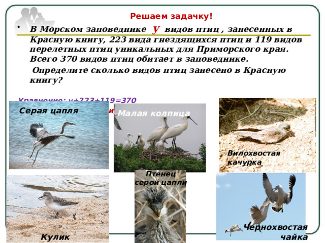 Решаем задачку! В Морском заповеднике у видов птиц , занесенных в Красную книгу, 223 вида гнездящихся птиц и 119 видов перелетных птиц уникальных для Приморского края. Всего 370 видов птиц обитает в заповеднике.  Определите сколько видов птиц занесено в Красную книгу?  Уравнение: у+223+119=370    Ответ: 28 видов    Серая цапля Малая колпица Вилохвостая качурка Птенец серой цапли Чернохвостая чайка Кулик 