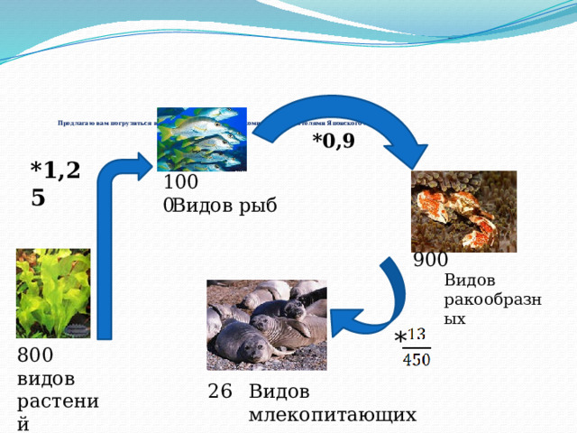     Предлагаю вам погрузиться в глубину морскую и познакомиться с обитателями Японского моря .   *0,9 *1,25 1000 Видов рыб 900 Видов ракообразных * 800 видов растений 26 Видов млекопитающих 