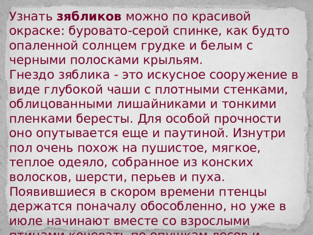 Гнездо зяблика это искусное сооружение в виде глубокой чаши с плотными стенками