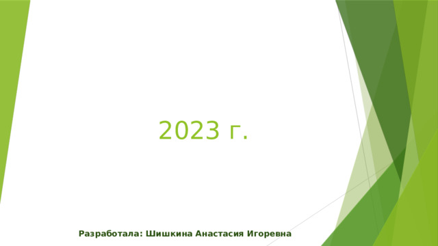 2023 г. Разработала: Шишкина Анастасия Игоревна 