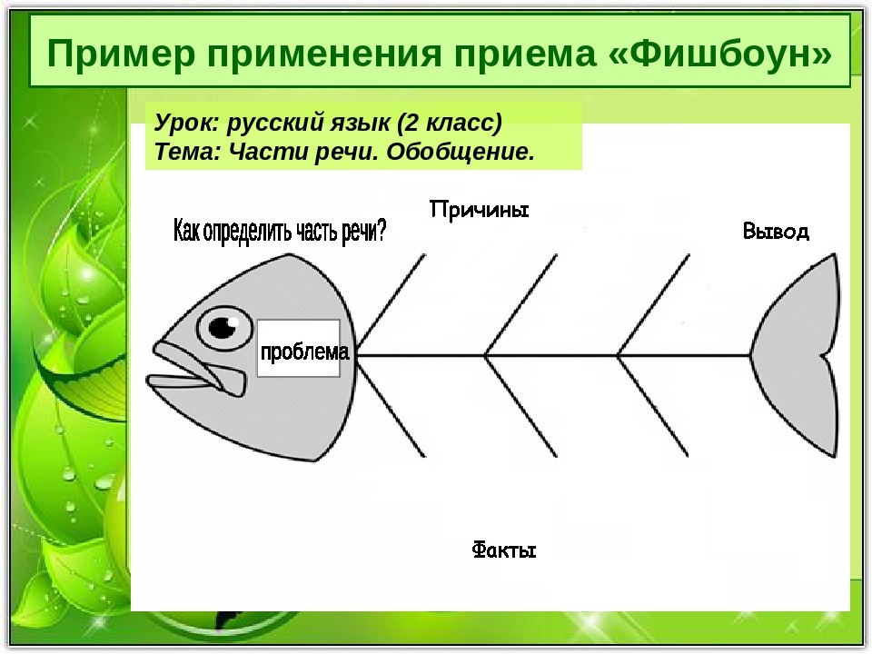 Рыбка записывать