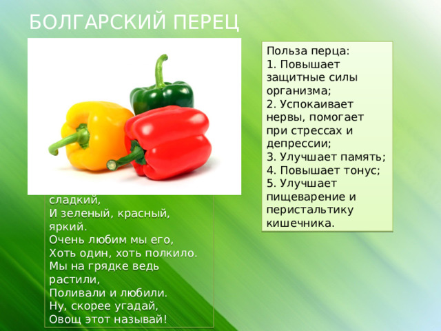 БОЛГАРСКИЙ ПЕРЕЦ Польза перца: 1. Повышает защитные силы организма; 2. Успокаивает нервы, помогает при стрессах и депрессии; 3. Улучшает память; 4. Повышает тонус; 5. Улучшает пищеварение и перистальтику кишечника. Вкусный, также очень сладкий,  И зеленый, красный, яркий.  Очень любим мы его,  Хоть один, хоть полкило.  Мы на грядке ведь растили,  Поливали и любили.  Ну, скорее угадай,  Овощ этот называй! 